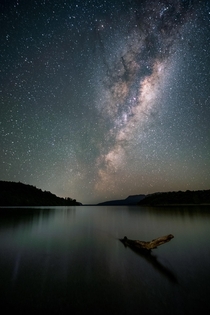Milkyway and a branch New Zealand 