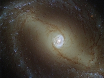 Miltrons Galaxy NGC  
