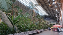 Mini forest in Madrid located in a trainstation