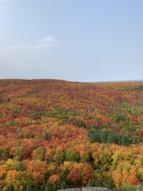 Minnesota Fall Colors 