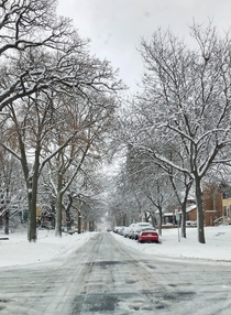 Minnesota winter wonderland 