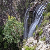 Minyon Falls NSW Australia 