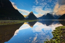 Mirrors Edge - Milford Sound New Zealand  by Oxy Z