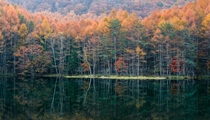 Mishakaike Pond in Autumn 