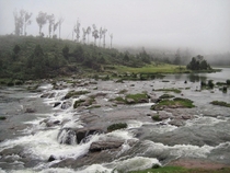 Mist amp Stream Ooty Tamil Nadu India 