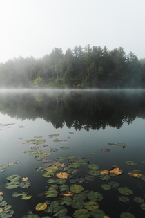 Mist sliding along a glass-like lake in Quebec 