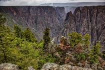 Misty Black Canyon of the Gunnison CO 