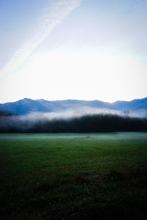 Misty morning in the Smoky Mountains Tennessee 
