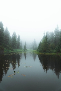 Misty morning pond in British Columbia Rockies  x