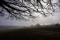 Misty morning walk in the Chiltern Hills UK x