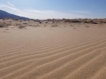 Mojave Desert Ca 