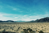 Mojave Desert Nevada 