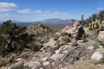 Mojave National Preserve California 