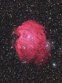 Monkey Head Nebula 