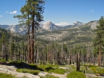 Mono Meadow Yosemite National Park 