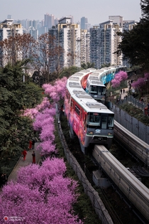Monorail Chongqing China