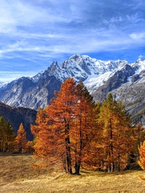 Mont Blanc from Courmayeur in Autumn 