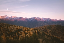 Montana Sunset 