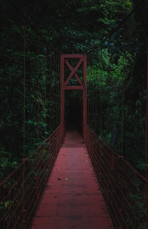 Monteverde Costa Rica 