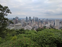 Montreal from the Mt
