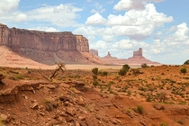 Monument Valley Navajo Tribal Park  x  