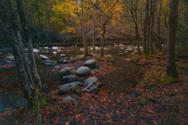 Moody Autumn in the Great Smoky Mountains National Park 