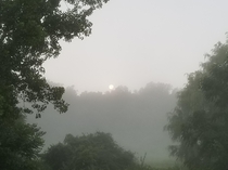 Moon seen through the morning fog OC New York x
