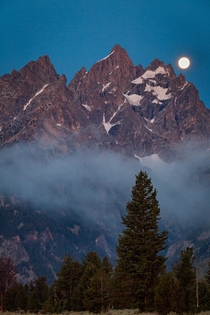 Moonrise on a foggy morning - Grand Teton National Park  IG travlonghorns