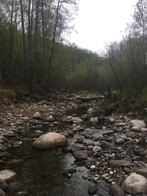 Moose Creek in Alaska 
