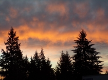 Morning Color Yesterday in Bremerton WA