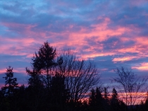 Morning Colors in Bremerton