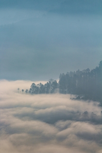 Morning fog in the hills of Almora India 