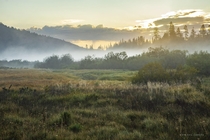 Morning fog in the recently preserved Perazzo Meadows near Sierraville CA 