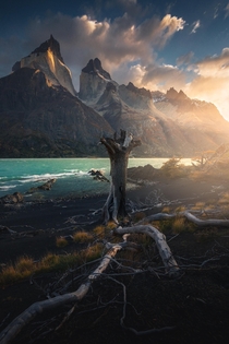 Morning glory in Torres del Paine NP Chile  Insta marcograssiphotography