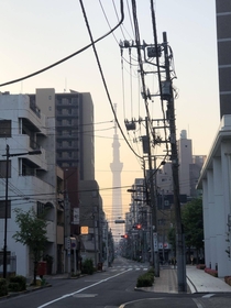 Morning in Tokyo
