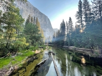 Morning in Yosemite Valley 