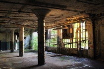 Morning light in an abandoned paper mill