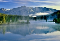 Morning Mist in Banff National Park 