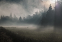 Morning Mist in Yosemite Valley  haileechen