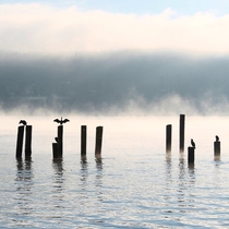 Morning Mist on Puget Sound OC