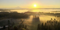 Morning Rays - Washington State 