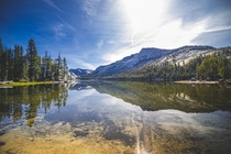 Morning Reflection- Tenaya Lake Yosemite National Park 