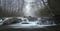 Morning Serenity in the Great Smoky Mountains National Park 