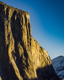 Morning Sun on El Capitan Yosemite  OC