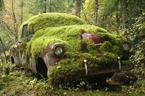 Mossy Car Photo by Nikki Van Horne 