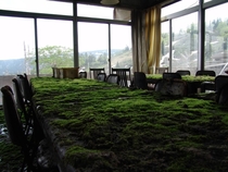 Mossy table tops at an abandoned hotel in Japan