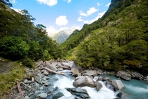 Mount Aspiring National Park New Zealand  by Daniel Stockman