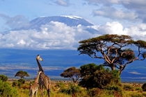 Mount Kilimanjaro Tanzania 