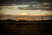 Mount Ngauruhoe New Zealand 