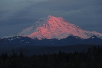 Mount Rainier at Sunset 